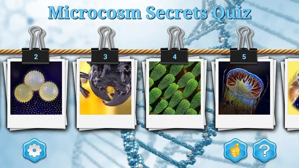 Play Microcosm Secrets Quiz  and enjoy Microcosm Secrets Quiz with UptoPlay