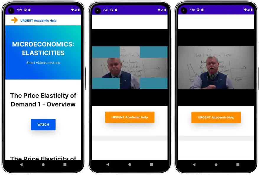 Play Microeconomics: Elasticities  and enjoy Microeconomics: Elasticities with UptoPlay