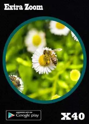 Play Microscope Zoom Camera 2017