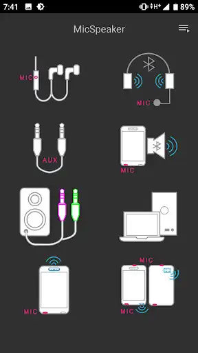 Play Mic Speaker