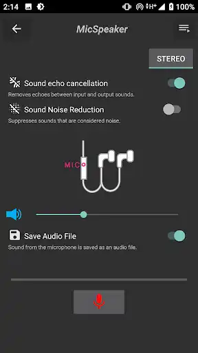 Play Mic Speaker