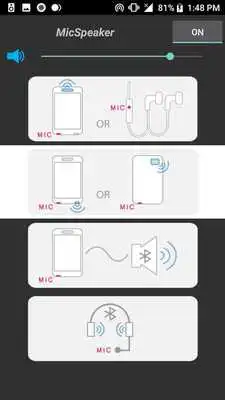 Play Mic Speaker