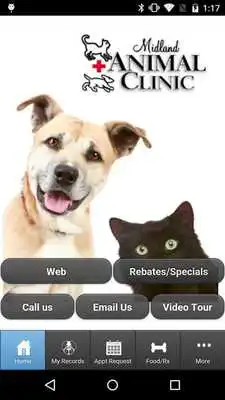 Play Midland Animal Clinic