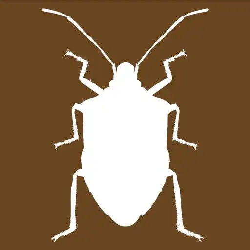 Play Midwest Stink Bug APK