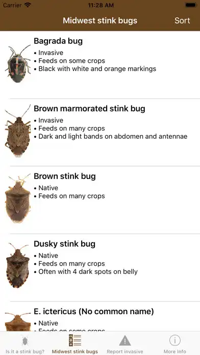 Play Midwest Stink Bug as an online game Midwest Stink Bug with UptoPlay
