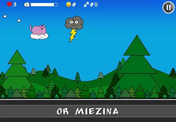 Play Miezian - The cat game