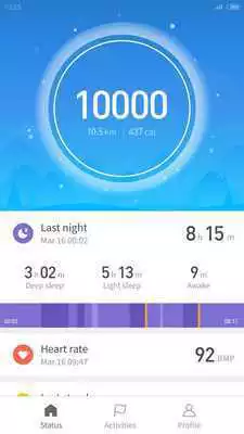 Play Mi Fit