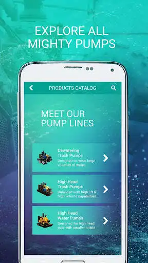Play Mighty Pumps Finder as an online game Mighty Pumps Finder with UptoPlay