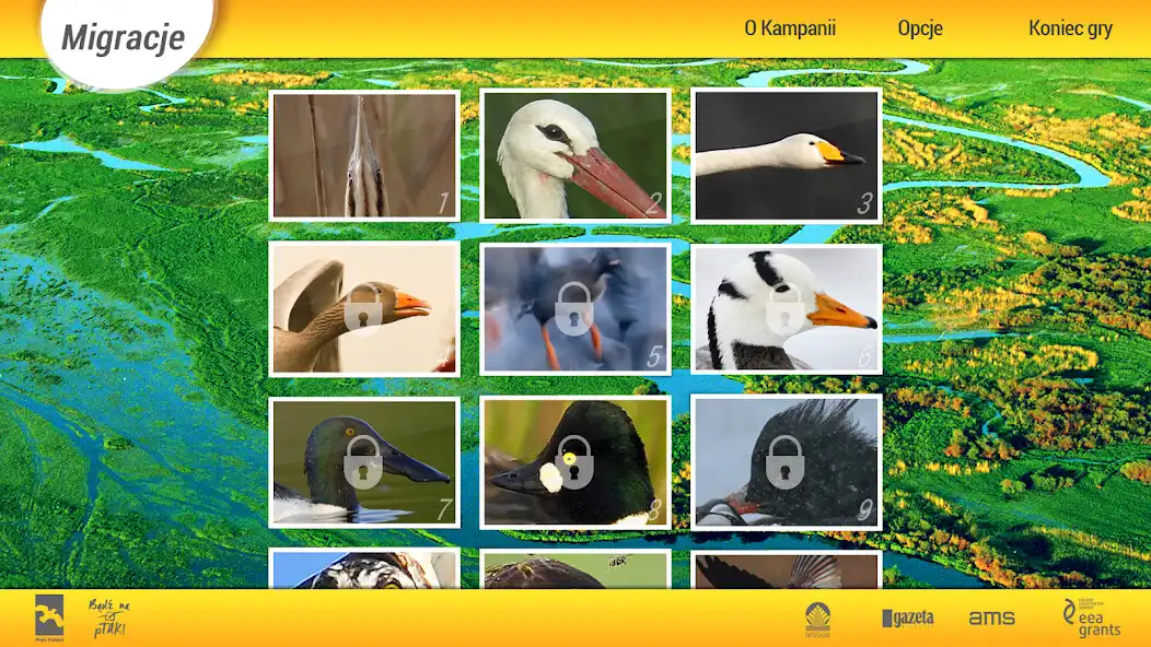 Play Migracje  and enjoy Migracje with UptoPlay