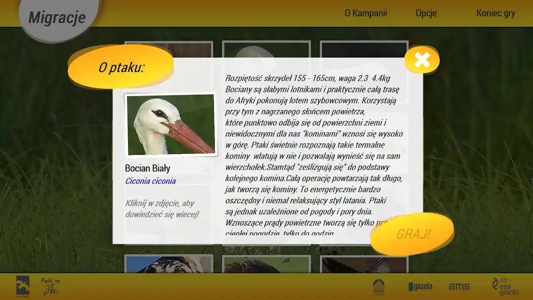 Play Migracje as an online game Migracje with UptoPlay