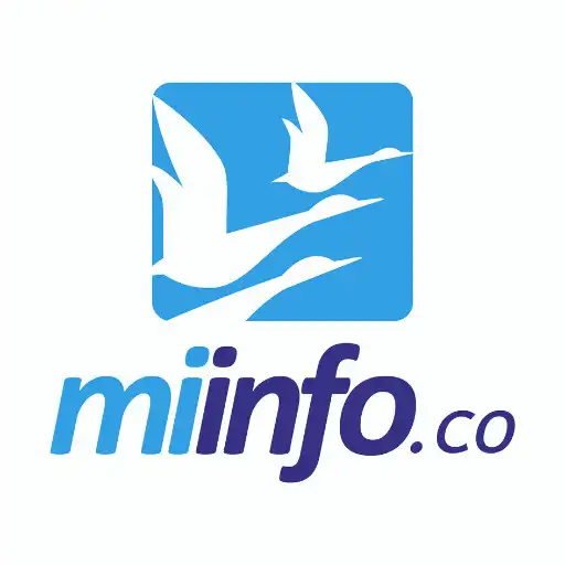 Play miinfo.co APK