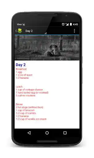 Play Military Diet Premium as an online game Military Diet Premium with UptoPlay