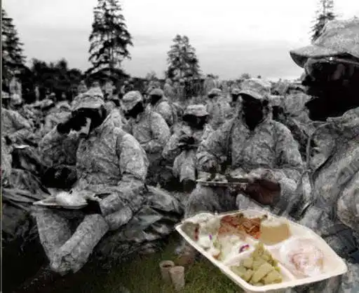 Play Military Diet: Step by Step Play Military Diet: Step by Step