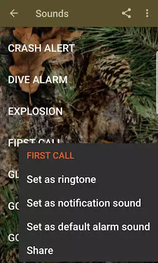 Play Military Sound Effects