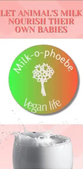 Play Milk-O-Phoebe  and enjoy Milk-O-Phoebe with UptoPlay