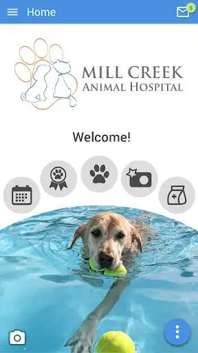 Play Mill Creek Vet