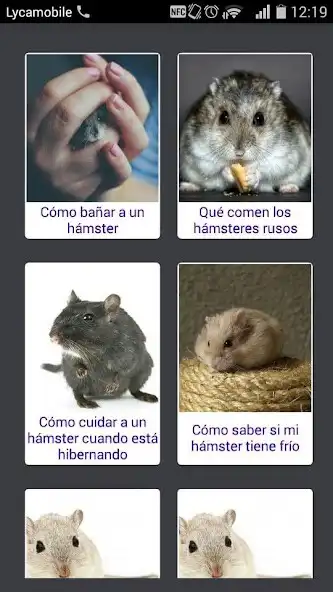 Play Mi Mascota as an online game Mi Mascota with UptoPlay