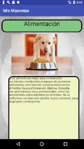 Play Mi mascotas as an online game Mi mascotas with UptoPlay
