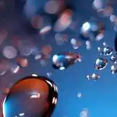 Free play online Mi Max HD Wallpapers APK