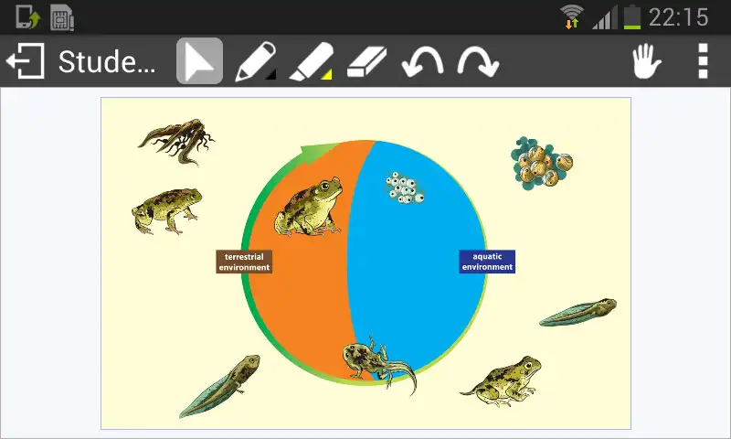 Play MimioMobile as an online game MimioMobile with UptoPlay