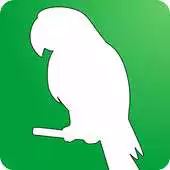 Free play online Mimitate APK