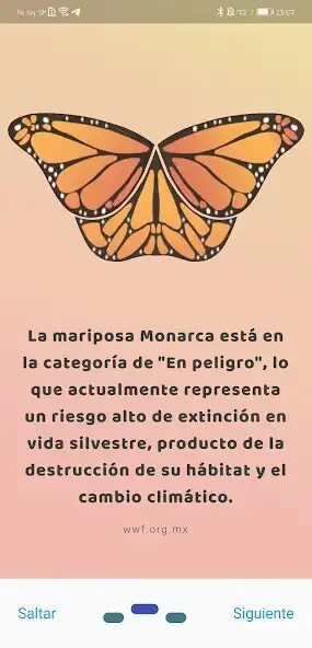 Play Mi Monarca and enjoy Mi Monarca with UptoPlay Play Mi Monarca and enjoy Mi Monarca with UptoPlay