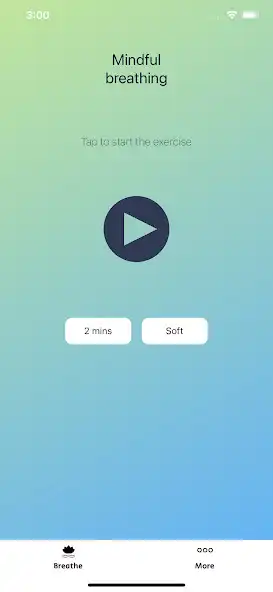 Play Mindful Breaths  and enjoy Mindful Breaths with UptoPlay