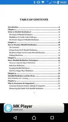 Play Mindful Meditation Mastery