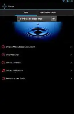Play Mindfulness Meditation