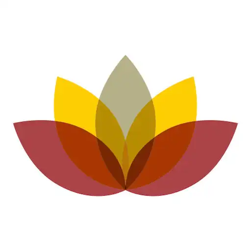 Play Mindful USC APK
