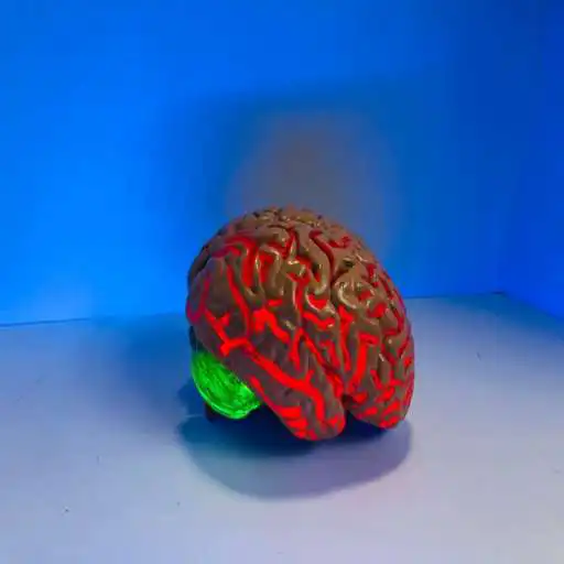 Play Mind Game - Match the pair APK