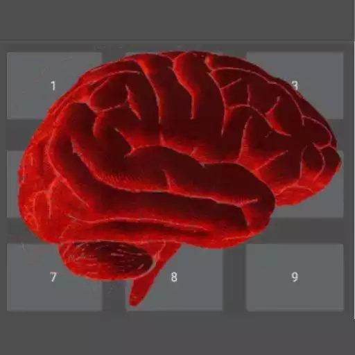 Free play online Mind Trainer APK