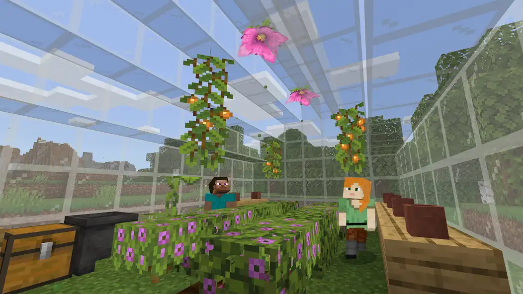 Play Minecraft: Education Edition as an online game online Minecraft: Education Edition with UptoPlay Play Minecraft: Education Edition as an online game Minecraft: Education Edition with UptoPlay