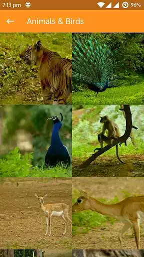 Play Minesh Bhavsar