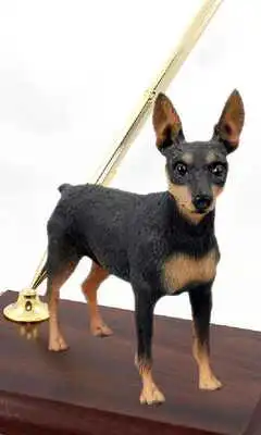 Play Miniature Pinscher Dogs Themes