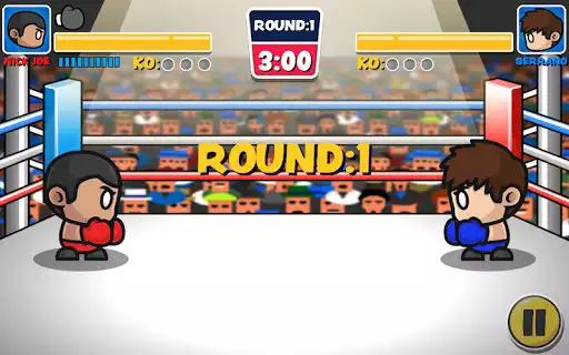 Play Mini Boxing
