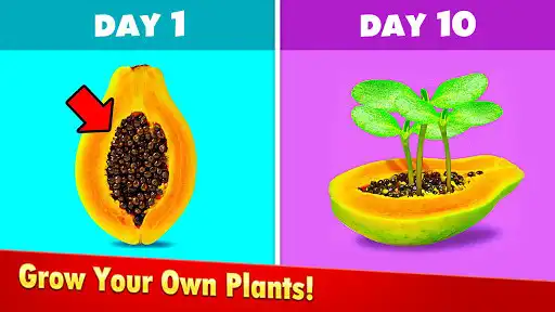 Play Mini Garden:Grow Plants as an online game online Mini Garden:Grow Plants with UptoPlay com.jxfreegames.solitaire Play Mini Garden:Grow Plants as an online game Mini Garden:Grow Plants with UptoPlay