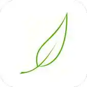 Free play online Minimalism - a practical guide APK Free play online Minimalism - a practical guide APK