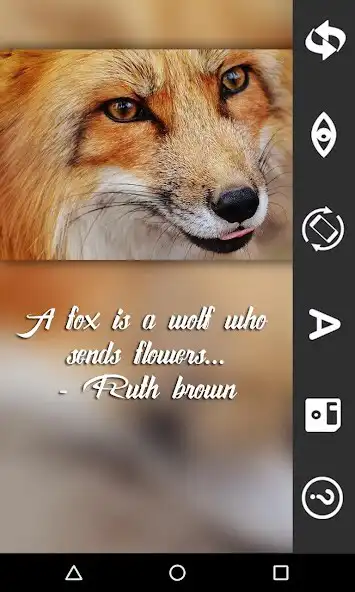 Play Mini Photo Editor  and enjoy Mini Photo Editor with UptoPlay