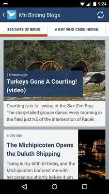 Play Minnesota Birding News