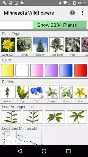 Play Minnesota Wildflower Search  and enjoy Minnesota Wildflower Search with UptoPlay