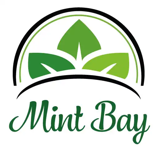 Play Mint Bay TA9 APK Play Mint Bay TA9 APK