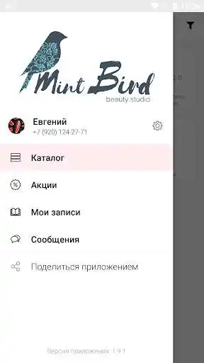 Play Mint Bird Studio as an online game Mint Bird Studio with UptoPlay