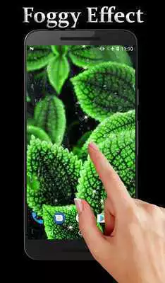 Play Mint Live Wallpaper