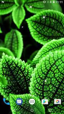 Play Mint Live Wallpaper