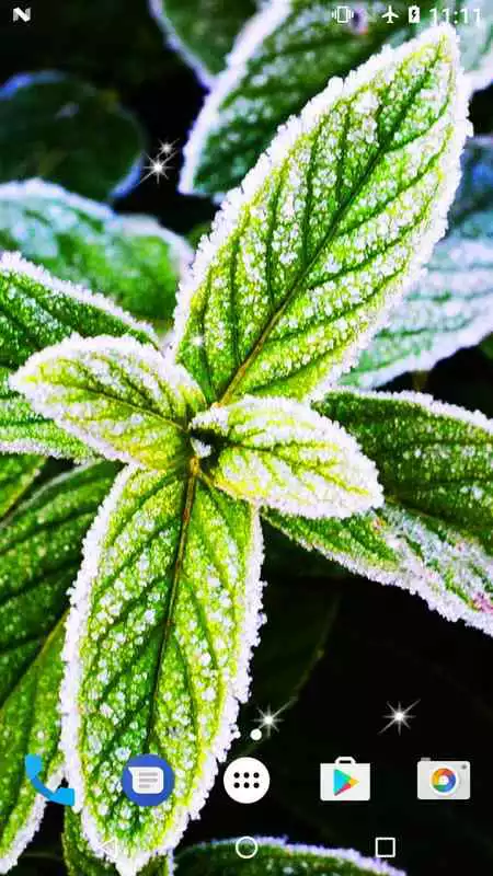 Play Mint Live Wallpaper