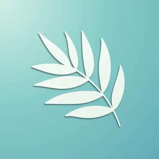 Play Mint Translate:Text Translator APK Play Mint Translate:Text Translator APK
