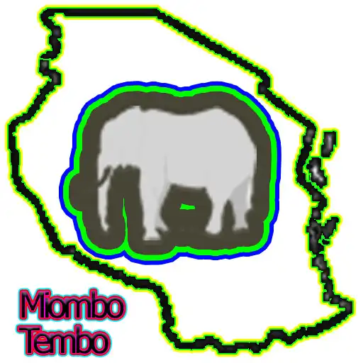 Play Miombo - Tembo APK
