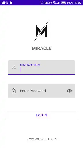 Play Miracle