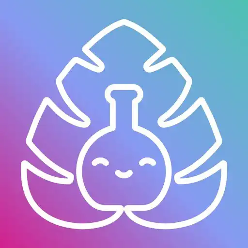 Play Mireille APK Play Mireille APK